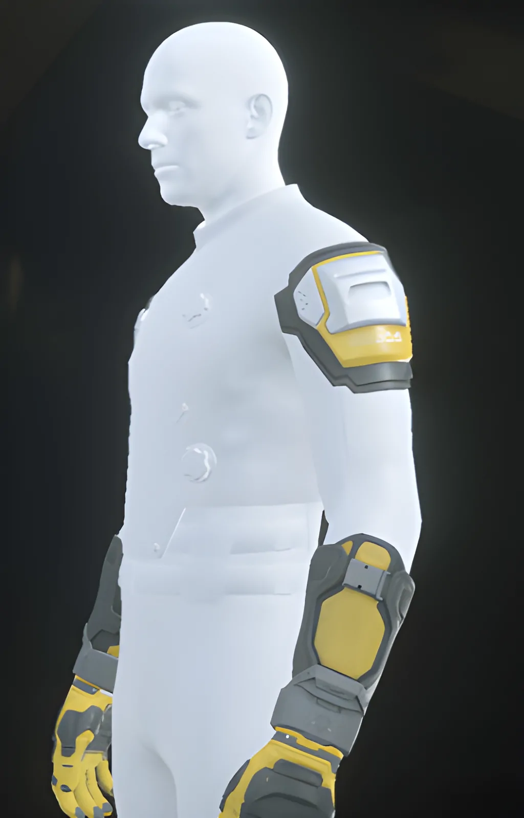 Enlarge PAB-1 Arms Yellow