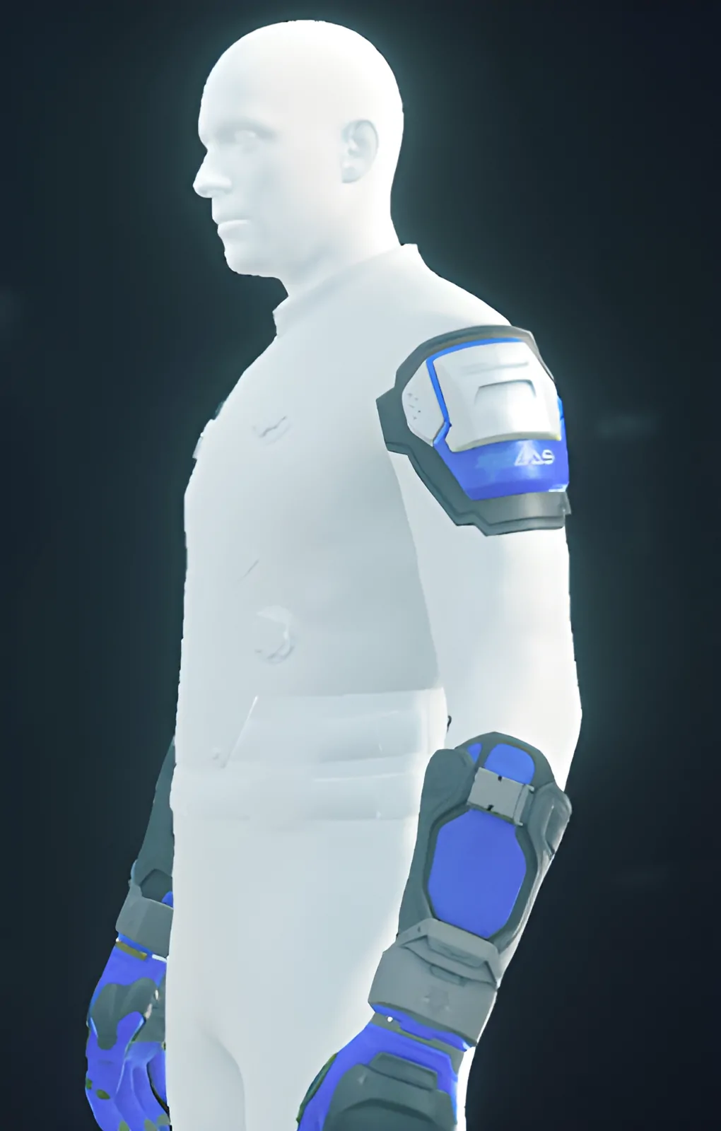 Enlarge PAB-1 Arms Purple