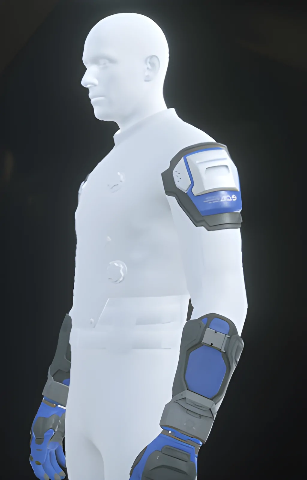Enlarge PAB-1 Arms Blue