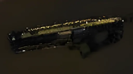 Gallant "Executive Edition" Rifle